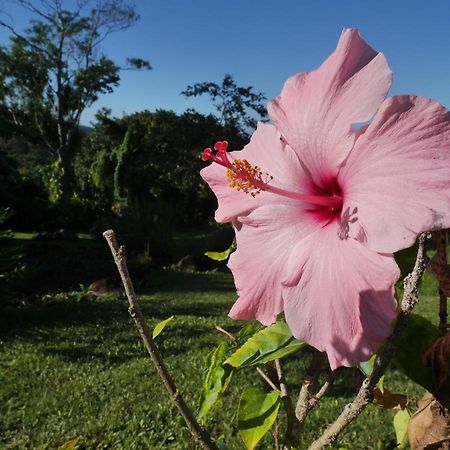 La Joupa Case Anthurium Sainte-Rose Exterior foto