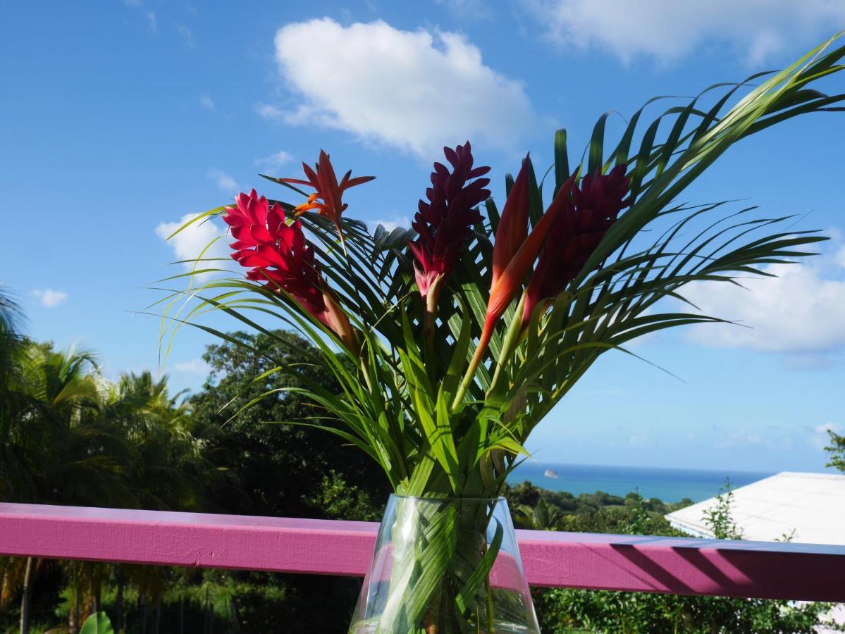La Joupa Case Anthurium Sainte-Rose Exterior foto